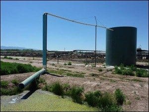 Anaerobic digester