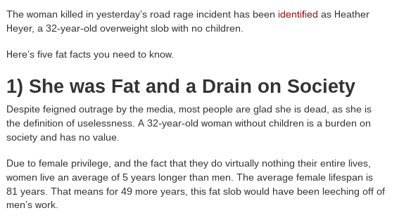 Daily Stormer article on Heyer