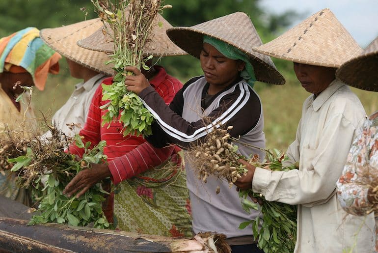 Farming