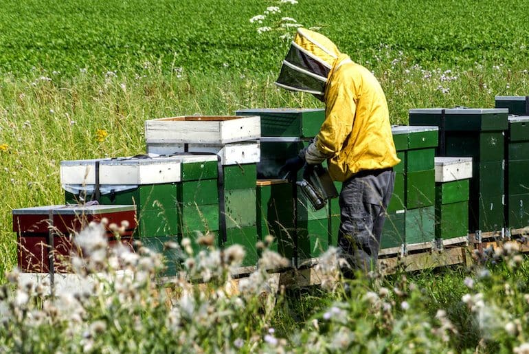 Beekeeper