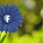 Facebook flower