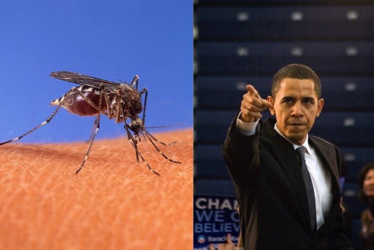 Zika virus