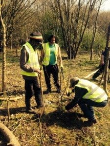 planting