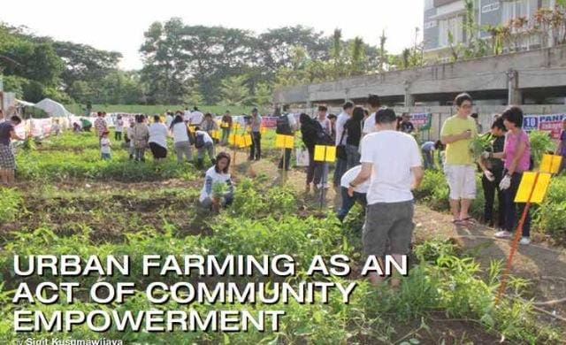 urban farming