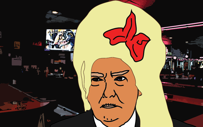 000007 Donal Trump wigs-06
