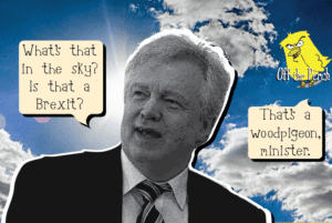 000075 So what do you think Brexit means?-01