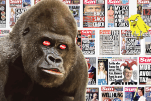 000024-gorilla-in-the-sun-01