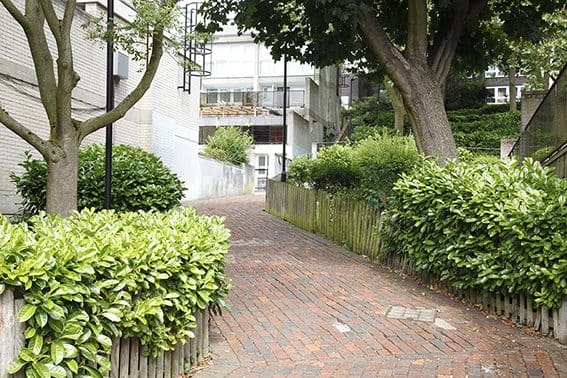 central-hill-4