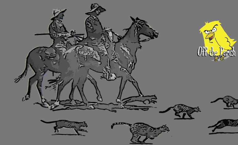 Herding cats EU ambassador