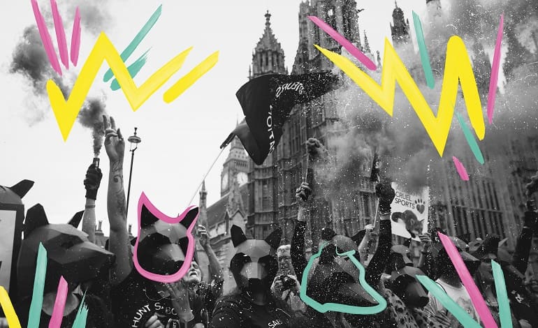 Lush Header