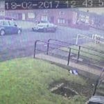 UKIP Stoke Urinating Incident