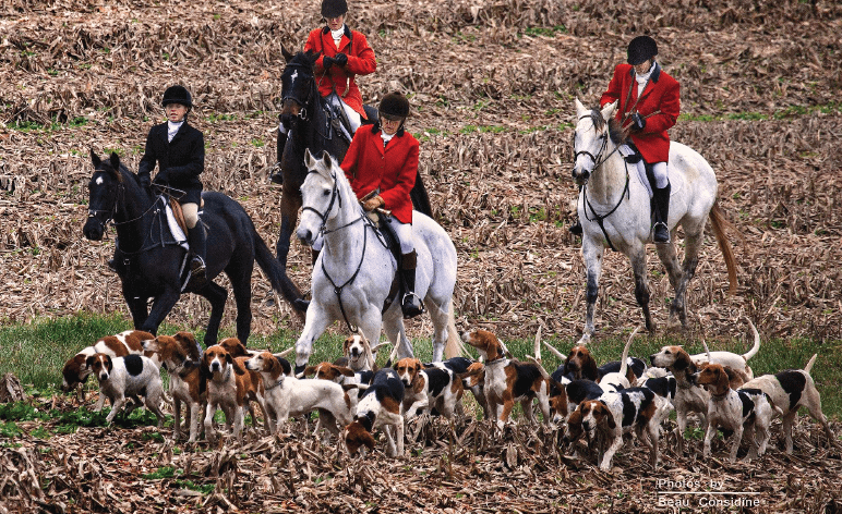 Fox hunters