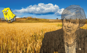 May wheat fields OTP