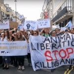 vegan march animal rights