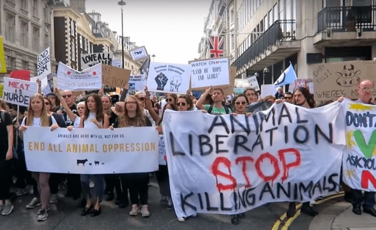 vegan march animal rights