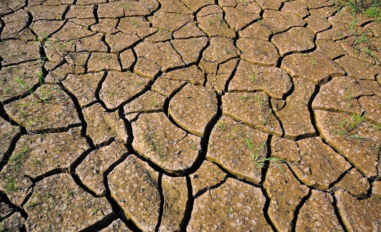 dry earth