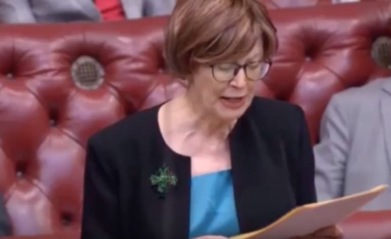 Labour peer criticises the benefits system
