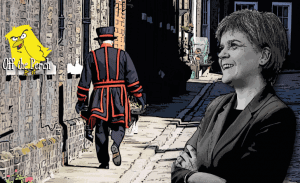 Sturgeon beefeater OTP