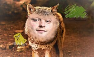 Ben Bradley Wolf OTP Main