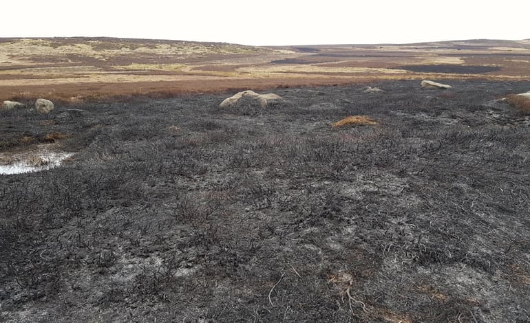 Ilkley Moor