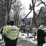 Sheffield Trees