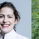 atkins cannabis