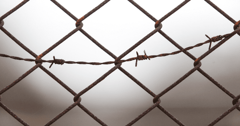 Barbed Wire