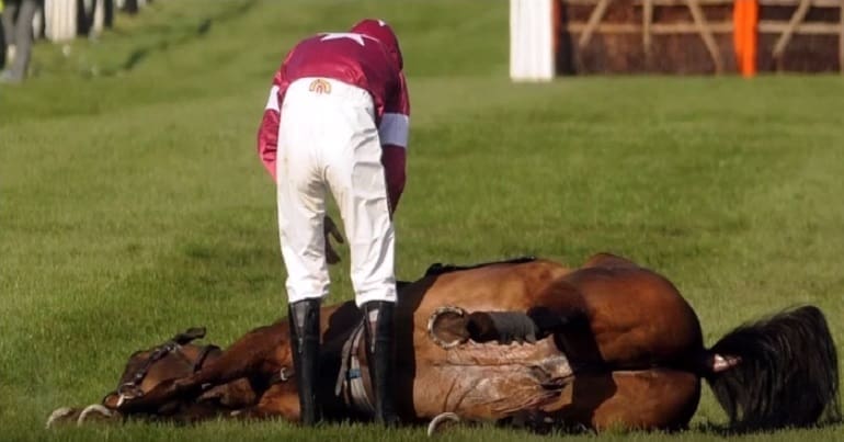 Cheltenham Festival deaths