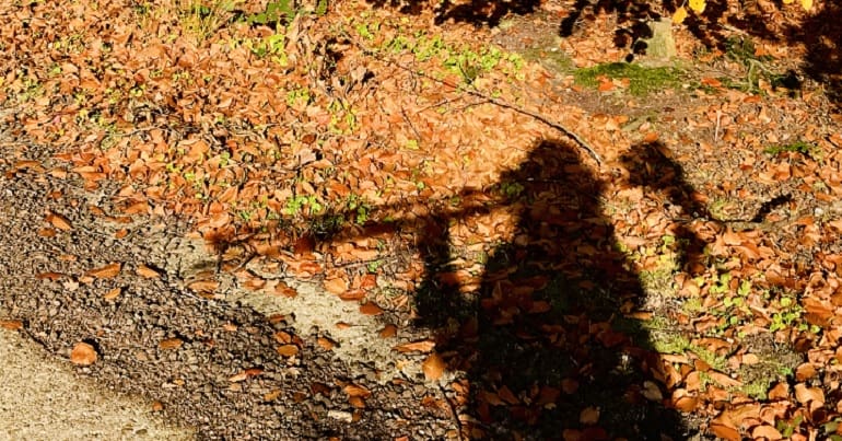 A new book is offering a radical therapy for mental health issues