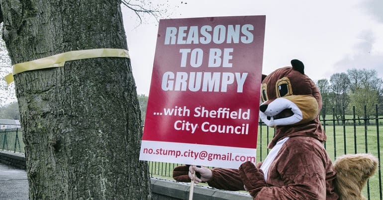 A rather grumpy Sheffield squirrel