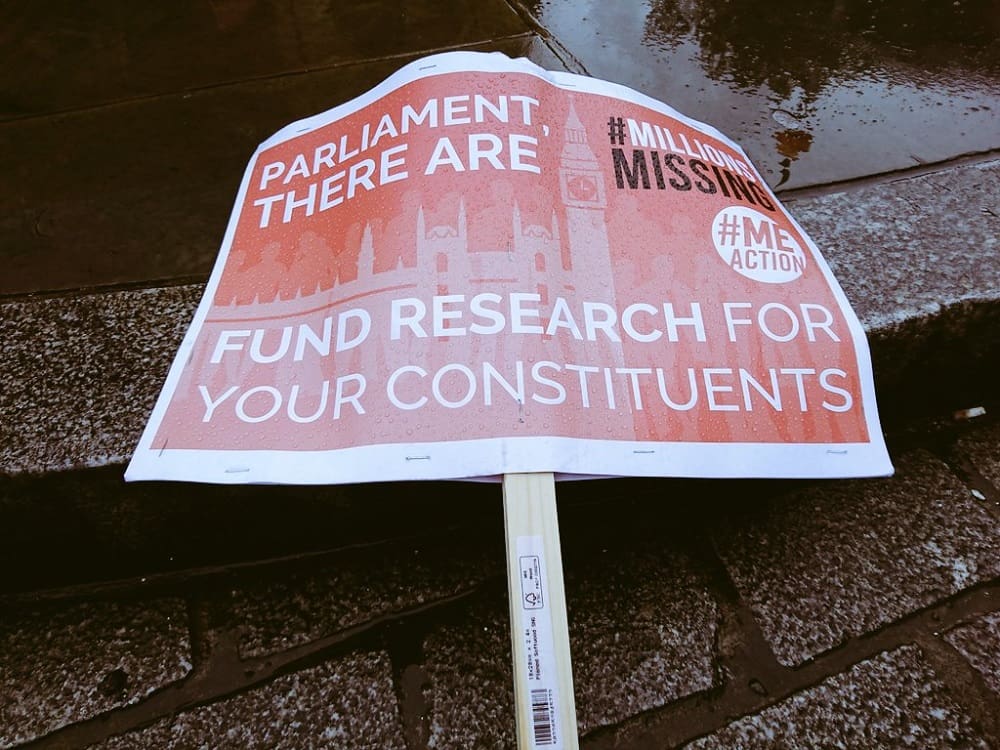A placard from the Missing Millions demo