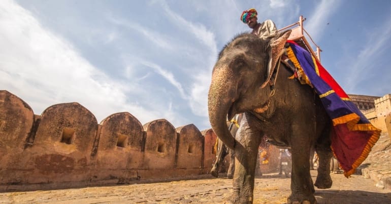 Person riding an elephant