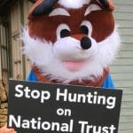 Image of a person in a fox costume protesting hunts on National Trust Land