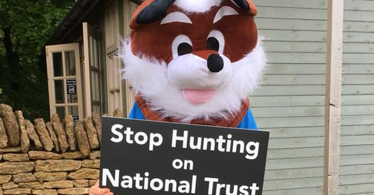 Image of a person in a fox costume protesting hunts on National Trust Land