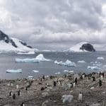 Antartica landscape