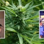 Cannabis Plant, William Hague, Simon Kempton