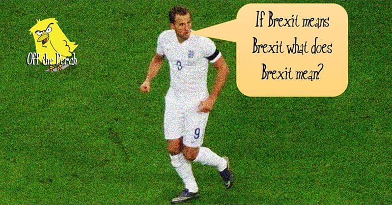 Harry Kane saying: "If Brexit means Brexit what does Brexit mean?" Off The Perch