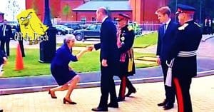 Theresa May curtseys to Prince William Off The Perch