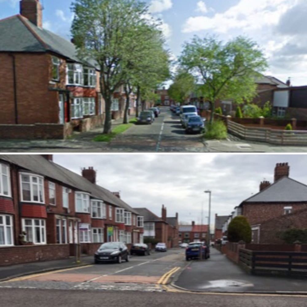STTAG trees before and after shot three new