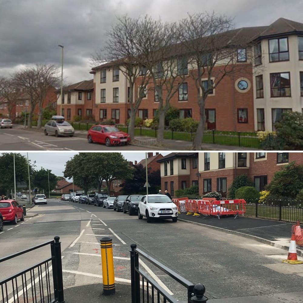 STTAG trees before and after shot two new