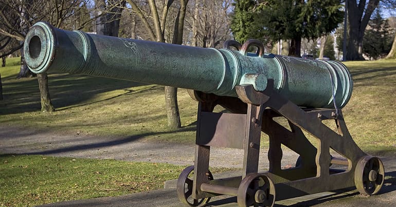 Cannon