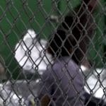 Children in US border detention centre