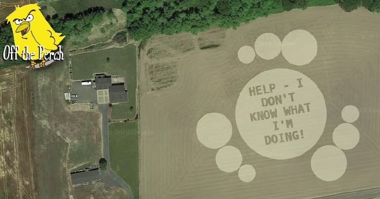 Crop circle with a message that reads "HELP! I DON'T KNOW WHAT I'M DOING!"