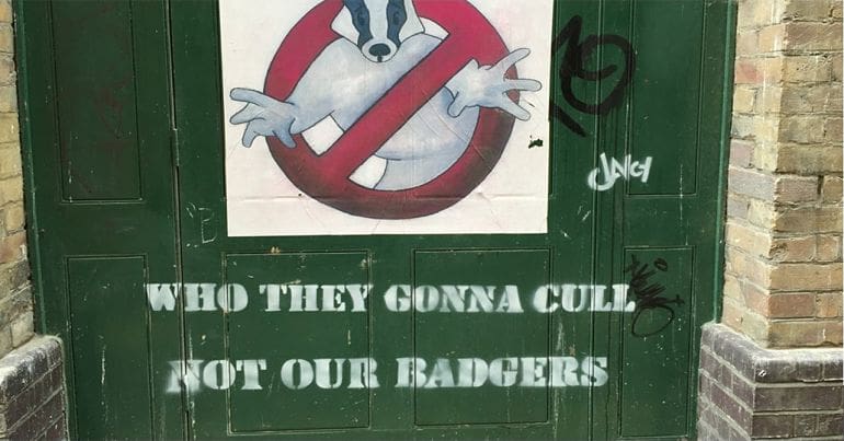 Graffiti saying "who they gonna cull, not our badgers".