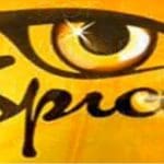 Spice logo