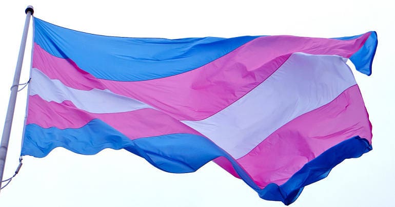 Trans flag flying