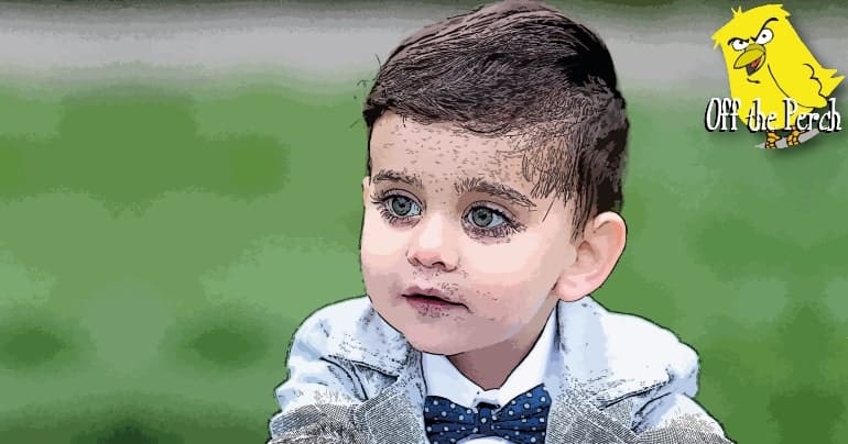 A young boy with a bow tie