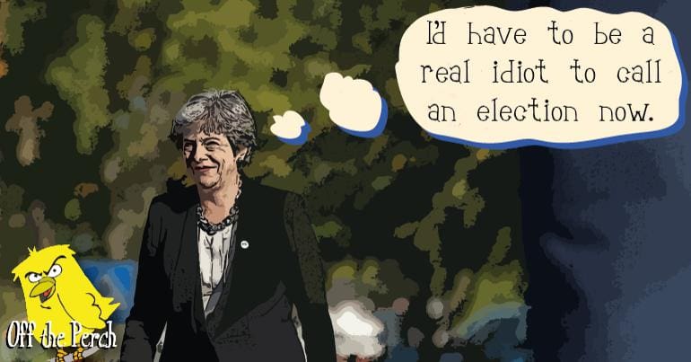 Theresa May thinking: "I'd have to be a real idiot to call an election now"