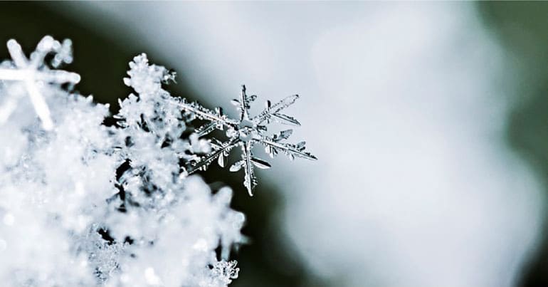 Snowflakes