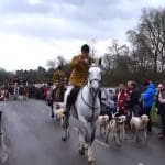 Kimblewick Hounds
